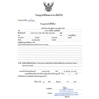 Counterpain Plaster Warm/Cool - แผ่นแปะ แก้ปวด สูตรร้อน และเย็น (ยกกล่อง10 ห่อ/กล่อง)