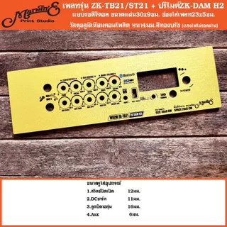 เพลทแอมป์+ปรีไมค์ ZK-DAM H2👉 Marwin'eแบรนด์แรกเพลทคอมโพสิทในตู้บลูทูธDIY.สินค้าในไทย🇹🇭 เพลท ZK-DAMH2
