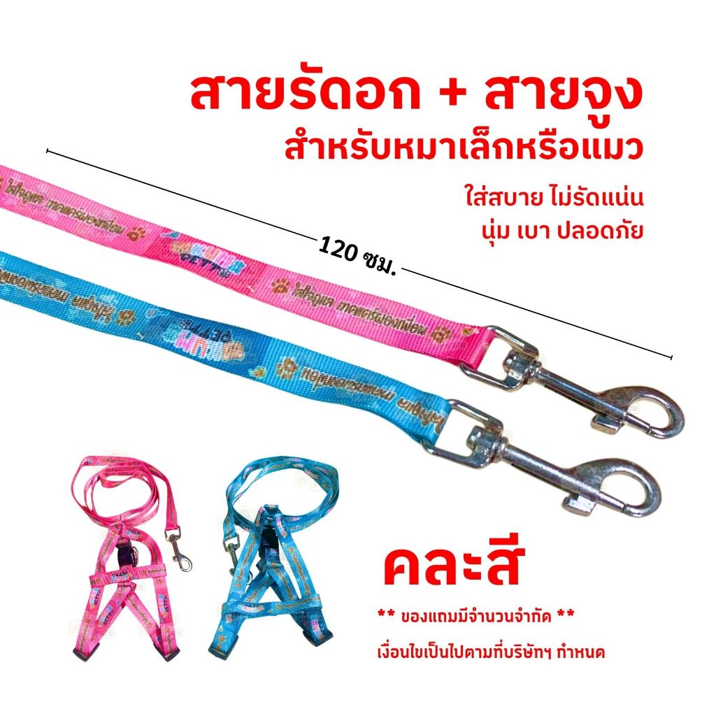 สินค้าแถม สายรัดอก + สายจูง สำรับสุนัขพันธุ์เล็กหรือแมว สายจูงยาว 120 ซม. (คละสี)