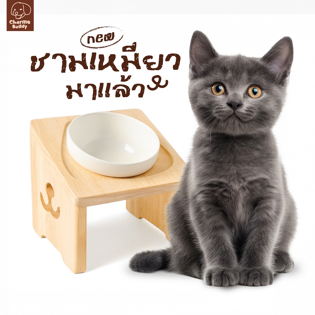 😽ชามเเมวยกสูง + ถ้วยเซรามิก5" ลดการปวดคอ น่ารักพรีเมียม ลายไม่ซ้ำใคร✨ งานไม้เเท้