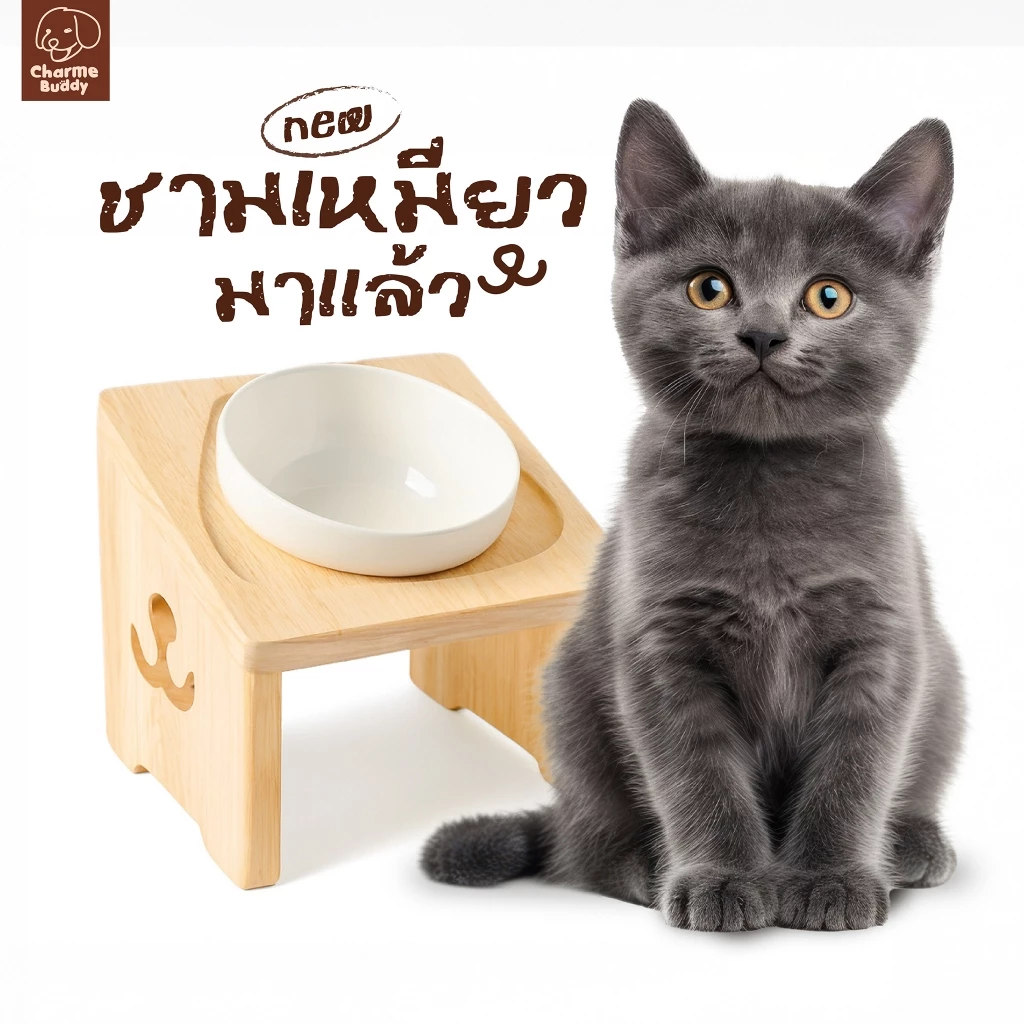 😽ชามเเมวยกสูง ลายน้องเเมว + ถ้วยเซรามิก5" ลดการปวดคอ น่ารักพรีเมียม ลายไม่ซ้ำใคร✨ งานไม้เเท้