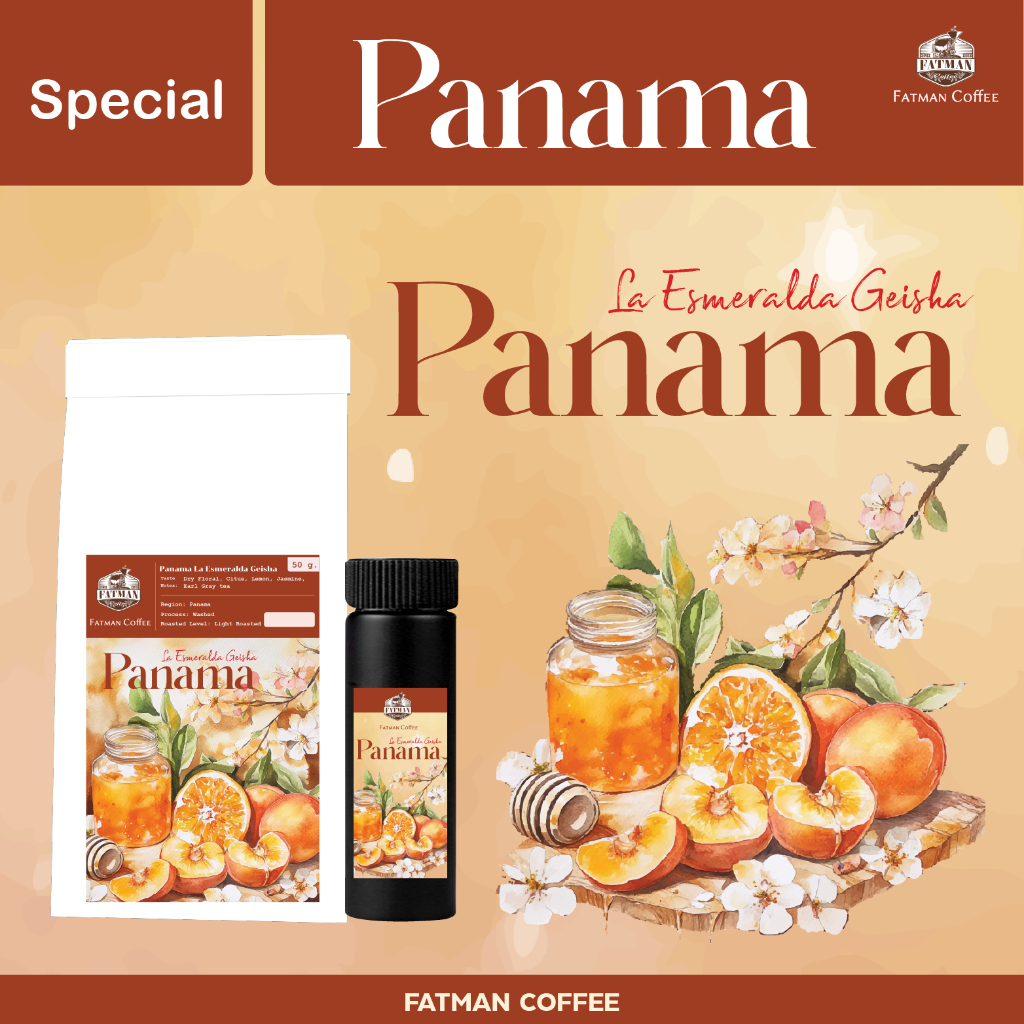 เมล็ดกาแฟ Panama La Esmeralda Geisha Natural ขนาดพิเศษ