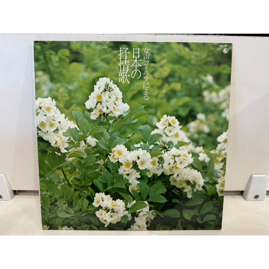 2LP Vinyl Records แผ่นเสียงไวนิล 抒情歌     (J6C273)