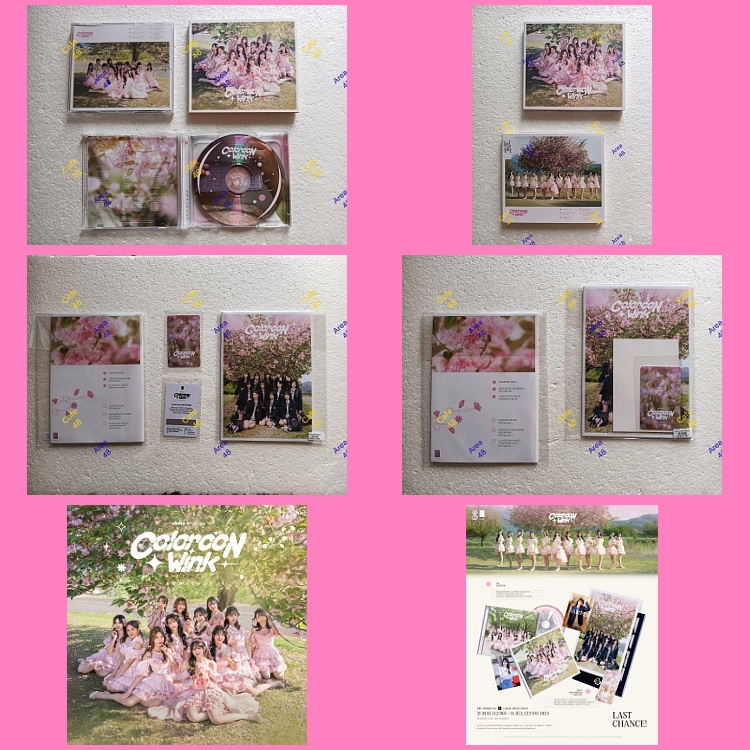 [ Colorcon Wink ไม่แกะ มีรูปสุ่ม แกะ ไม่มีรูป ] BNK48 CD PB Photobook CGM48 Cgm Bnk ซิง19 CD19 PB19