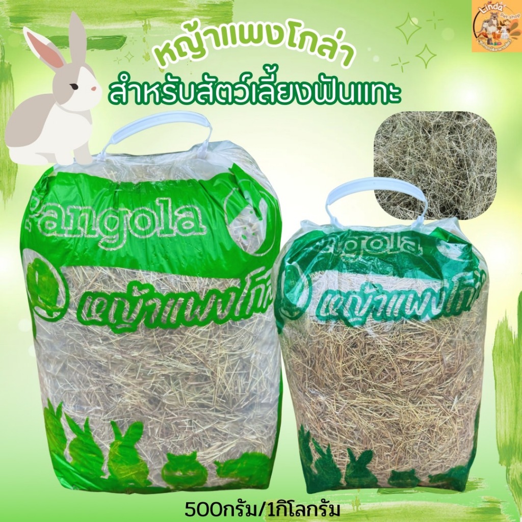 หญ้าแพงโกล่า อบแห้ง  Pangola Hay เกรดพรีเมียม 100% สำหรับกระต่าย  แกสบี้ ชินชิลล่า ช่วยลับฟัน ไฟเบอร์สูง(มี2ขนาด) ราคา ถูกที่สุด ดีลบีเคเค แกลเลอรีภาพที่ 6