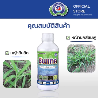 ซินแทค ขนาด 500 ซีซี.│ หญ้าตีนติด หญ้าชันกาด หญ้าปากควาย│ เทพวัฒนา ตราปลาคู่ │ ยากำจัดหญ้า สารป้องกันกำจัดวัชพืช