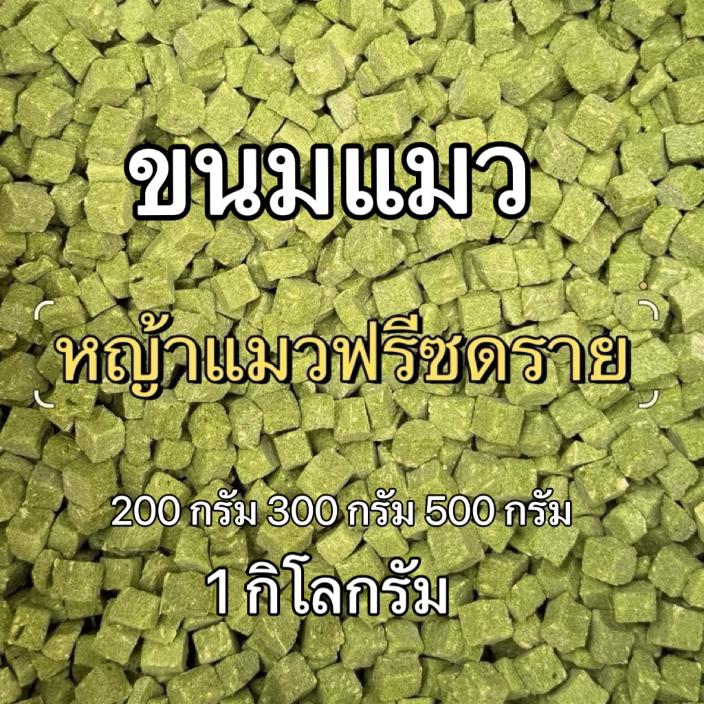หญ้าแมวฟรีซดราย ขนมแมว หญ้าแมวผสมอกไก่ ขนมฟรีซดราย อาหารแมว 1 กิโลกรัม 200 300 500 กรัม pawtique