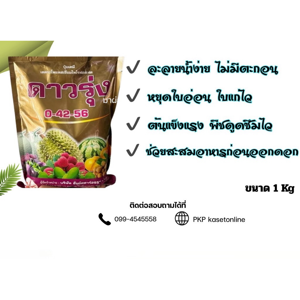 ปุ๋ยเกล็ดดาวรุ่ง 0-42-56  ( 1 kg ) ละลายน้ำง่าย หยุดใบอ่อน ใบแก่ไว ต้นแข็งแรง ช่วยสะสมอาหาร