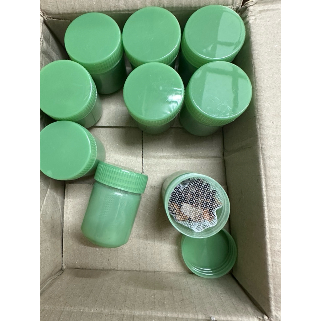 ยาดมเปล่า ไม่มีฉลาก ของชำร่วย Giveaway ยกโหล