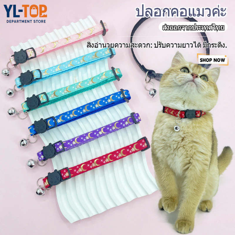 ปลอกคอแมว ลายฮัลโลวีน พร้อมส่ง - ปลอกคอสัตว์เลี้ยง - ดูดีขึ้นที่คอสัตว์ CW134