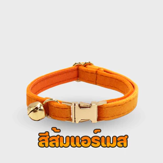 Pawlux pets ปลอกคอสัตว์เลี้ยงสลักชื่อฟรี สไตล์มินิมอลสแตนเลสแท้