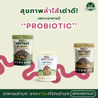 Pro-Reptiles อาหารเต่าบก โปรเรพไทล เลือกสูตรที่ใช่ ทั้ง Premium, Original และ Junior สำหรับเต่าเด็ก มี3สูตร