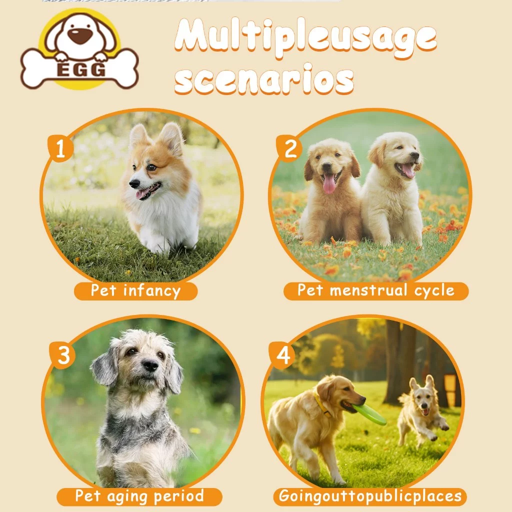 EGG ผ้าอ้อมสุนัข/แมว ดูดซับเร็ว XXS-XL Dog Diaper thumbnail 8