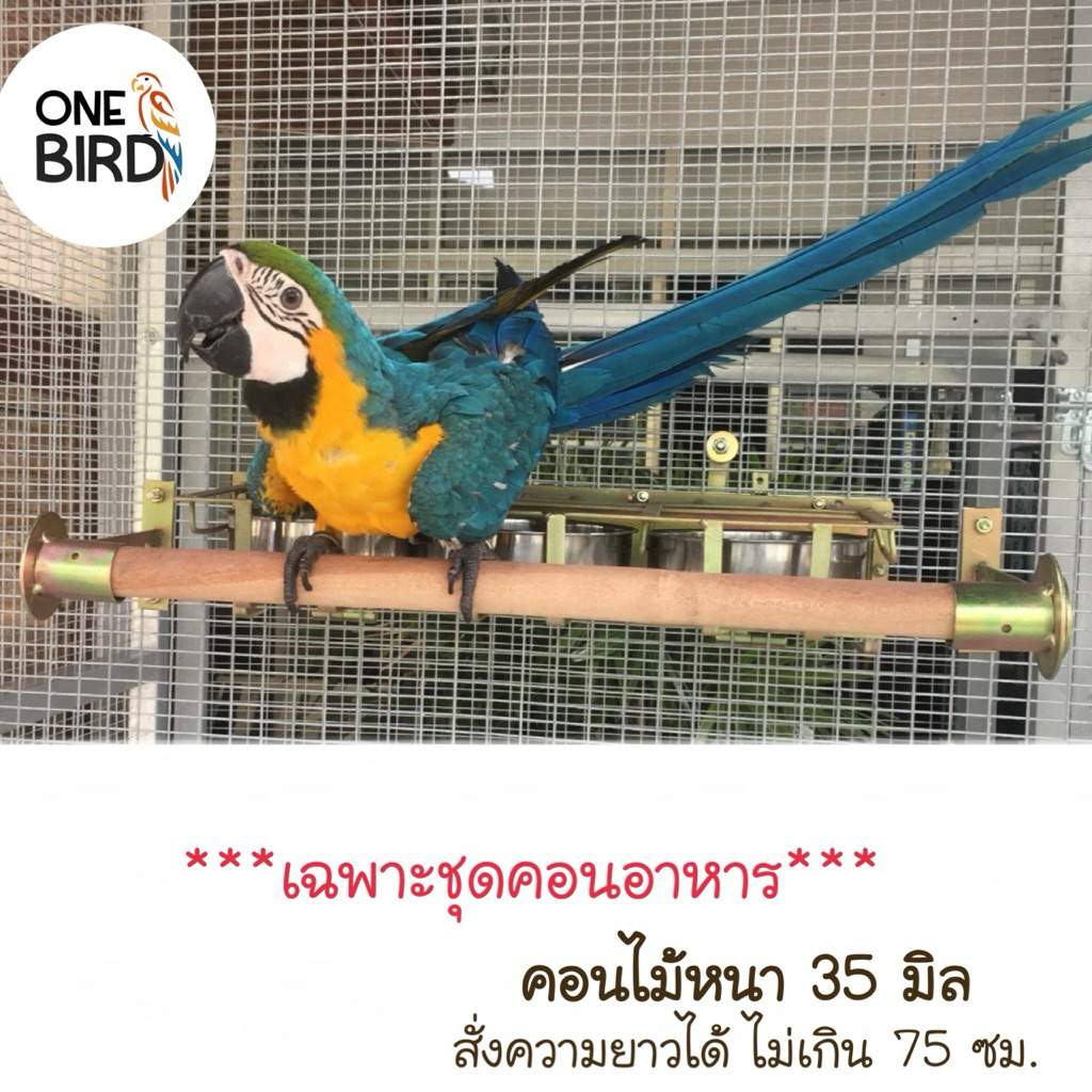 *เฉพาะชุดคอนอาหารvip ทำจากไม้เนื้อแข็งกลึงกลมหนา 35 มิล เหล็กขาชุบกันสนิมอุตสาหกรรม