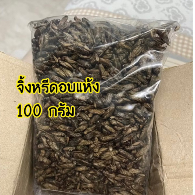 จิ้งหรีดอบแห้ง สดิ้งอบแห้ง 100 กรัม/g. อบส่งใหม่ๆทุกออเดอร์