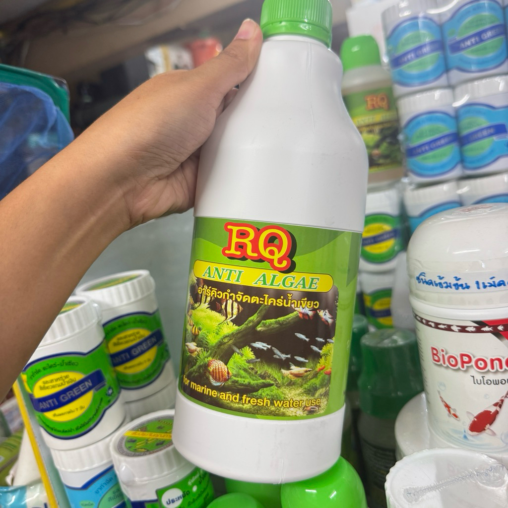 RQ ALGAEน้ำยากำจัดตะไคร่แก้ปัญหาน้ำเขียวในตู้ปลาและบ่อปลาชนิดเข้มข้น1000cc