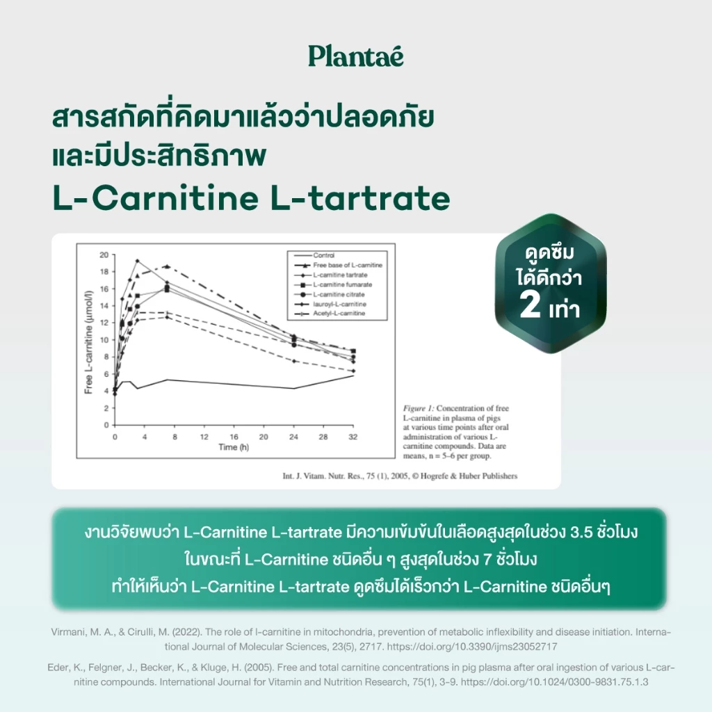 Plantae Lite Protein กล่อง5ซอง โปรตีนพืช คุมหิว  L-Carnitine แอลคาร์นิทีน Plant protein ชาเขียว โปรตีนจากพืช plant based thumbnail 7