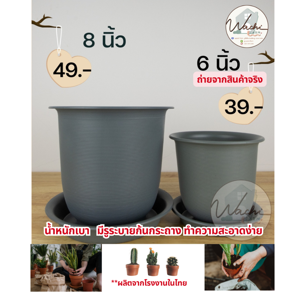 [โค้ด LUXUPTOCT ลด 5%] กระถางญาญ่า ทรงกลม มินิมอล ขนาด 6, 8, 10, 12 นิ้ว สีเทา พร้อมจานรอง - รูปที่ 3