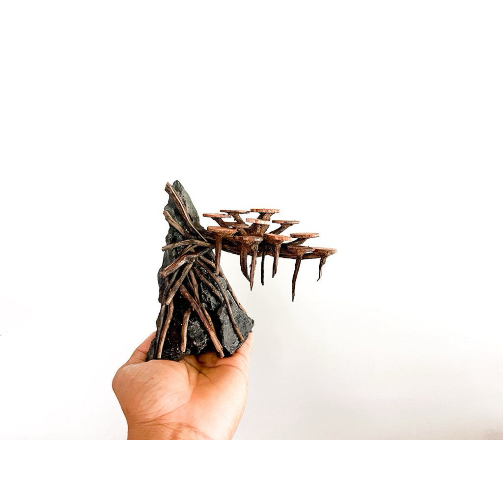 Layout ตู้ไม้น้ำได้งานตามรูปภาพ📦