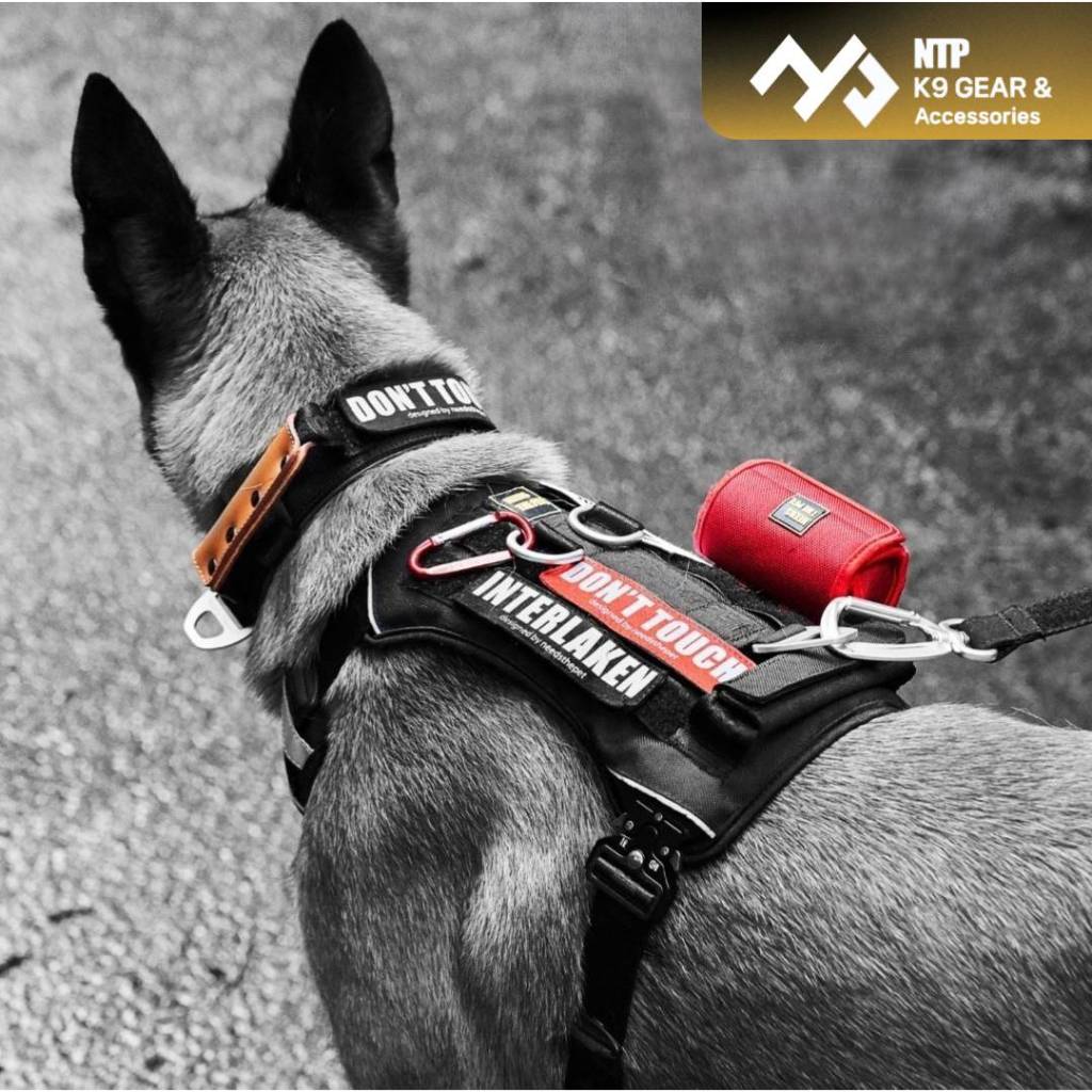 NTP สายรัดอกสุนัข Interlaken Custom Harness