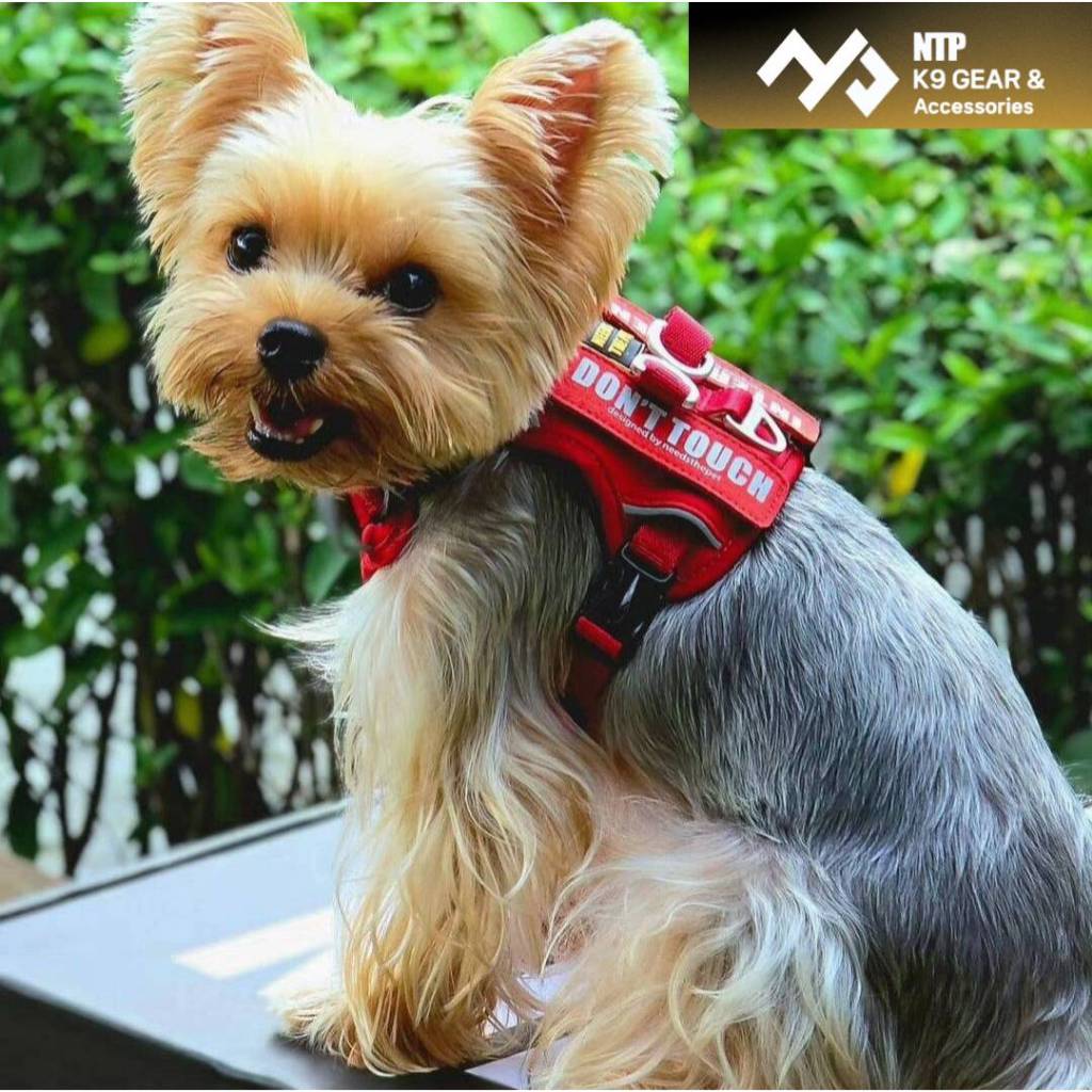 NTP สายรัดอกสุนัข Tiny Harness (ไซด์มินิ)