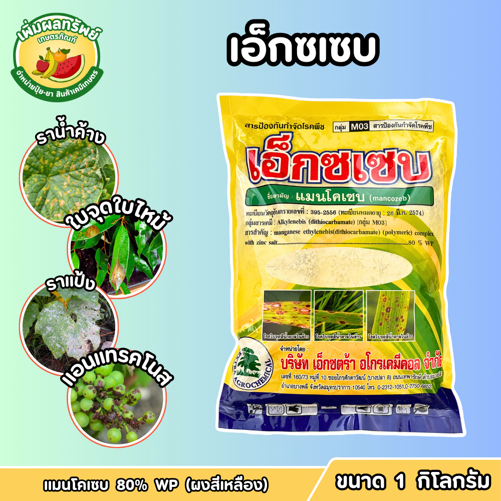 เอ็กซเซบ (แมนโคเซบ 80% WP ผงสีเหลือง) ขนาด 1 กิโลกรัม ป้องกันกำจัดโรคพืช โรคใบจุดใบไหม้ ราแป้ง ราดำ แอนแทรคโนส