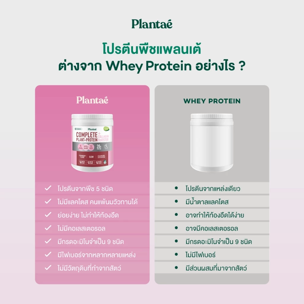 Plantae Complete Plant Protein รส Strawberry กระปุก 800g โปรตีนจากพืช plant based เพิ่มกล้ามเนื้อ โปรตีนสูง แพลนเต้ thumbnail 6