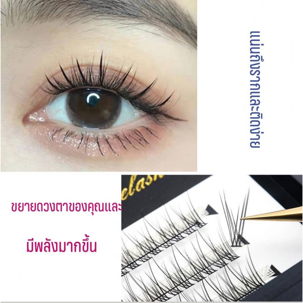 ️‍ ️‍ CHICLASHES ขนตาปลอมสำหรับขนตาธรรมชาติขนตาปลอม 3 มิติ แบบช่อ วัสดุขนมิ้งค์ ติดง่ายด้วยตัวเอง ราคา ถูกที่สุด ดีลบีเคเค รูปภาพหลัก