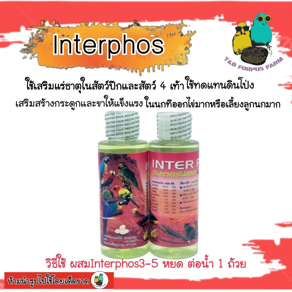 ชุดสุดคุ้ม 