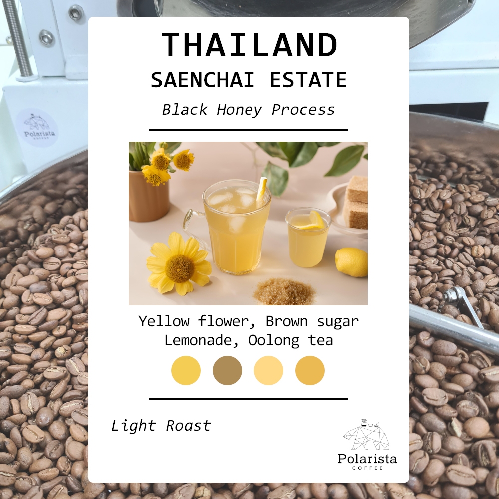 เมล็ดกาแฟคั่ว Thailand Saenchai Estate Black Honey roasted coffee 200g