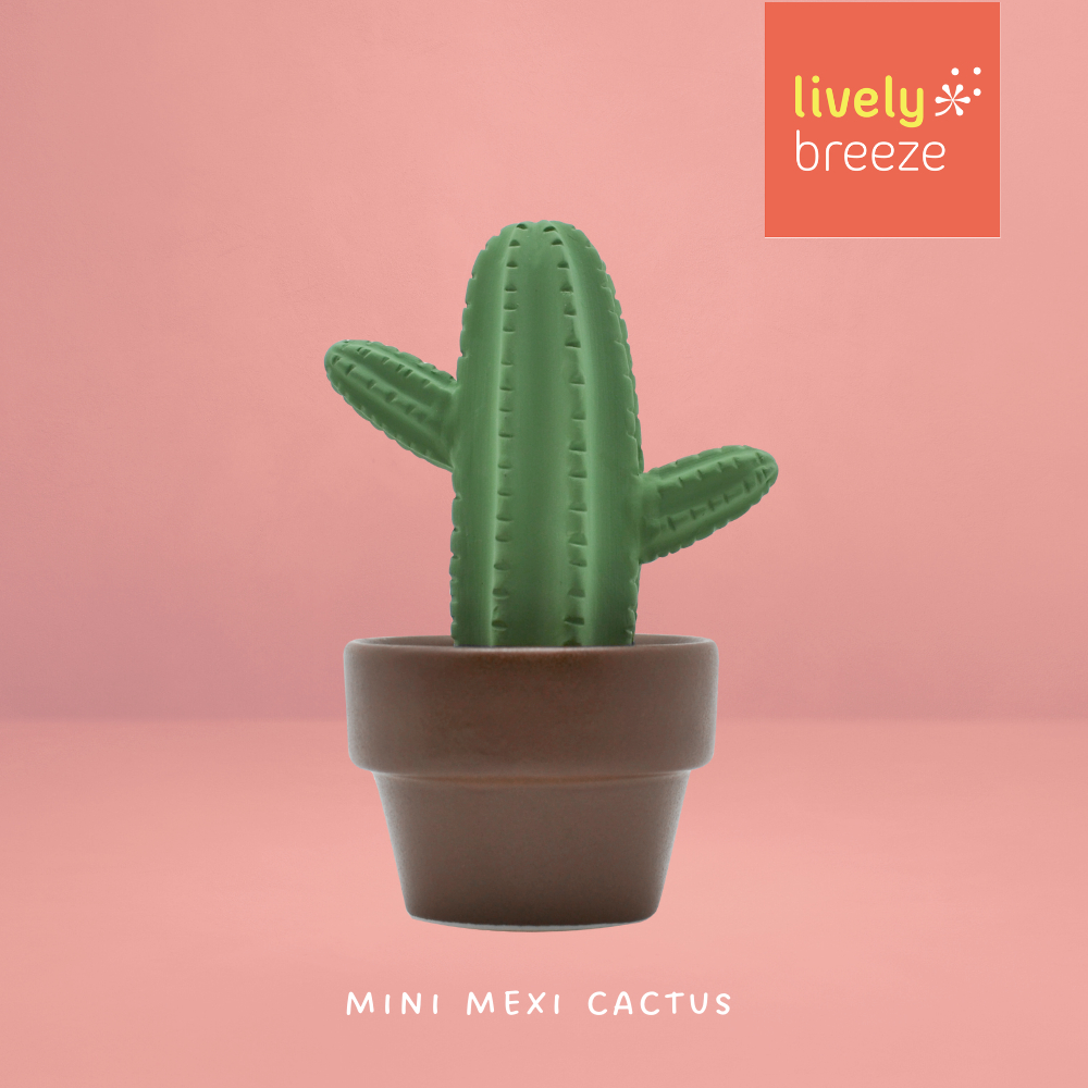 LIVELY BREEZE  กระบองเพชรMexi (S) เซรามิกกระจายกลิ่นหอม Mini Mexi cactus - Room Diffuser Handmade in Thailand