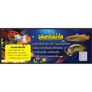 จุลินทรีย์น้ำใส จุลินทรีย์ปรับสภาพน้ำ เข้มข้น ปรับสภาพน้ำ กำจัดของเสีย ลดกลิ่น ปลาสดชื่น แข็งแรง น้ำใสตู้ปลา น้ำใสบ่อปลา