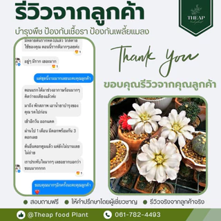 สเปรย์บำรุงพืช สูตรกระบองเพชร กล้วยไม้ และไม้อวบน้ำ​ THEAP Cactus