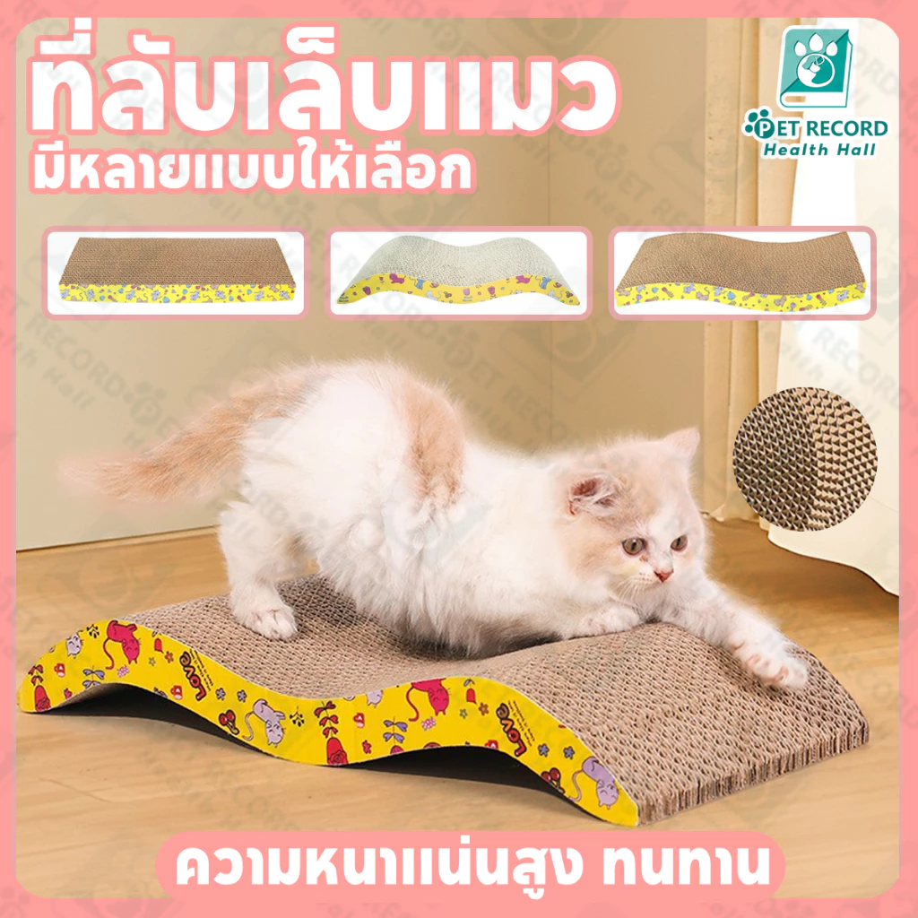 บอร์ดลับเล็บแมว กระดานข่วน ที่ลับเล็บแมว คอนโดแมว บ้านแมวกระดาษ ที่นอนแมว ของเล่นแมว