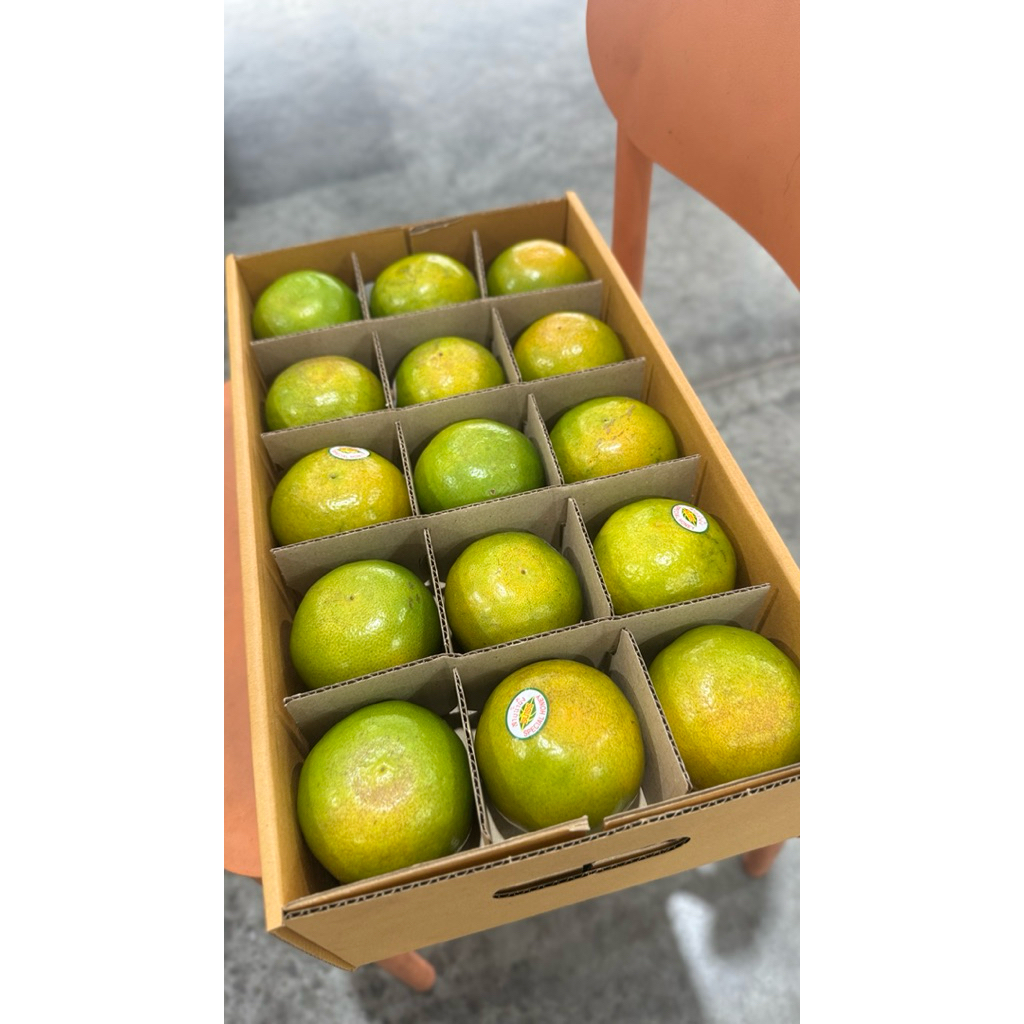 ส้มสายน้ำผึ้งฝาง  เบอร์ 6 สวนธนาธร
