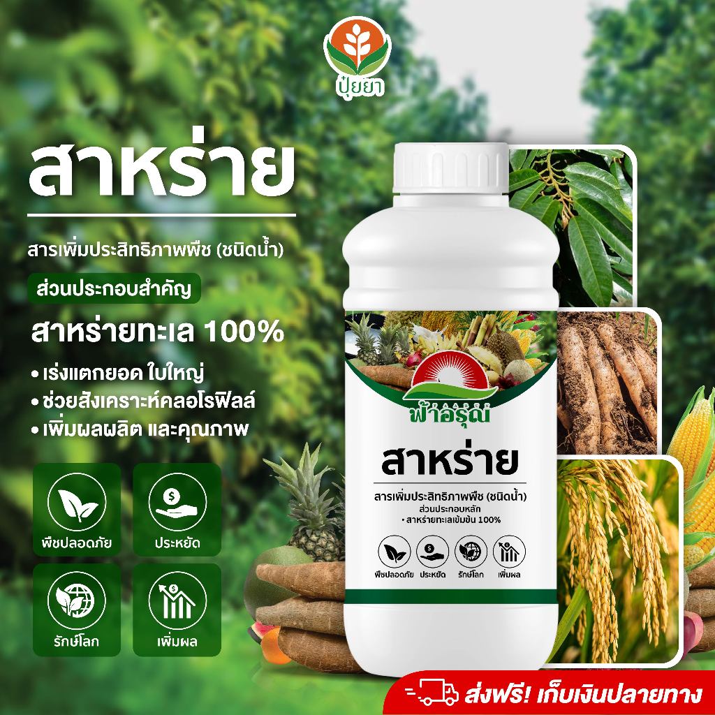 สาหร่าย ฟ้าอรุณ 1 ลิตร | เร่งแตกยอด เพิ่มการสังเคราะห์แสง ใบใหญ่เร่งโต ใบใหญ่ เขียวเข้ม ดอกดี ผลดก เนื้อคุณภาพ ใช้ได้ทุก