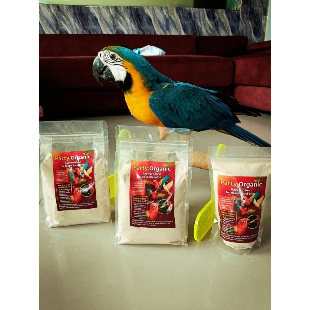 อาหารลูกป้อน B12 Party Organic สำหรับลูกนกนกลูกป้อนทุกสายพันธุ์ขนาด300กรัม500กรัม1000กรัม