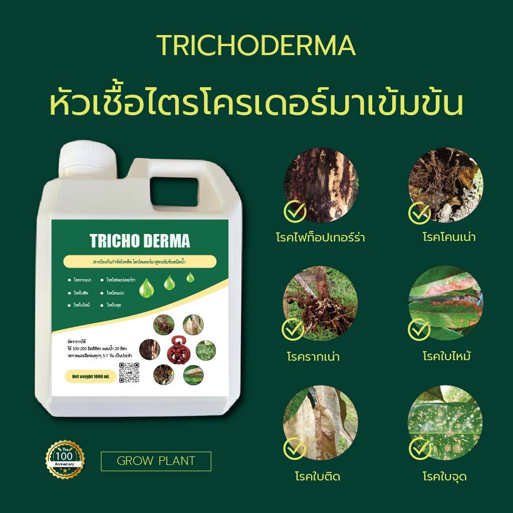 ไตรโคเดอร์มา Tricho Derma สารป้องกันกำจัดโรคพืช