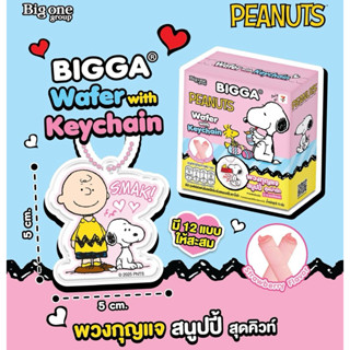 พวงกุญแจอะคริลิคใสสกรีนลายสนูปปี้ Snoopy - Peanuts Keychain …