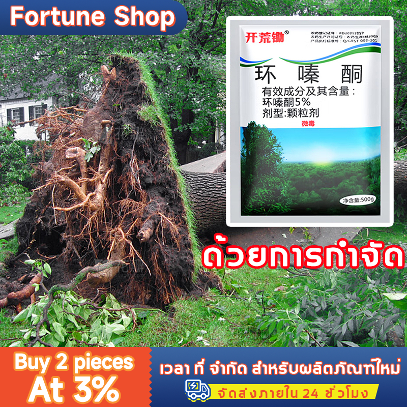 100% รากไม้เน่า รากเน่ารากไม่ขึ้นอี ยาฆ่าไม้ไผ่ สารกำจัดกอไผ่ ผงกำจัดกอไผ่ เม็ดกำจัดต้นไม 500g