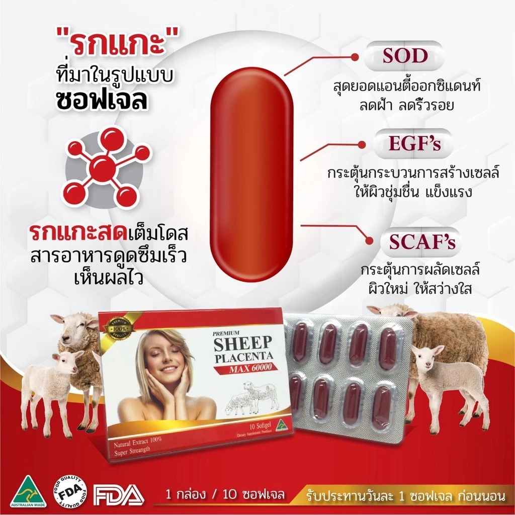 รกแกะ Sheep Placenta เซ็ท 3 กล่อง thumbnail 7