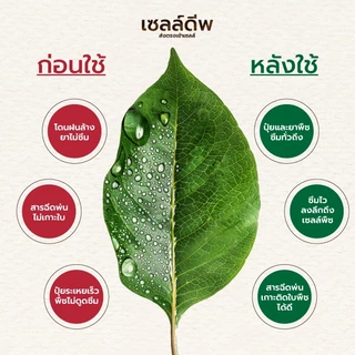 พฤกษ์มณี เซลล์ดีพ เซต5ซอง X 30CC สารซึมเซลล์ ตัวช่วยเพิ่มการดูดซึมของพืช ใช้ร่วมกับปุ๋ย สารกำจัดแมลง