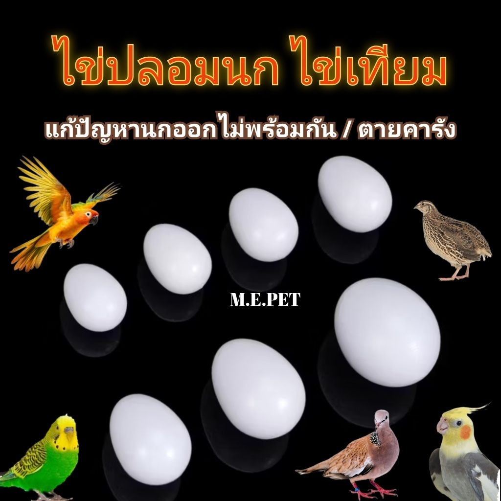 ไข่ปลอมนก ไข่เทียม แก้ปัญหานกออกไม่พร้อมกัน และนกตายคารัง (ไข่ปลอม1ฟอง)