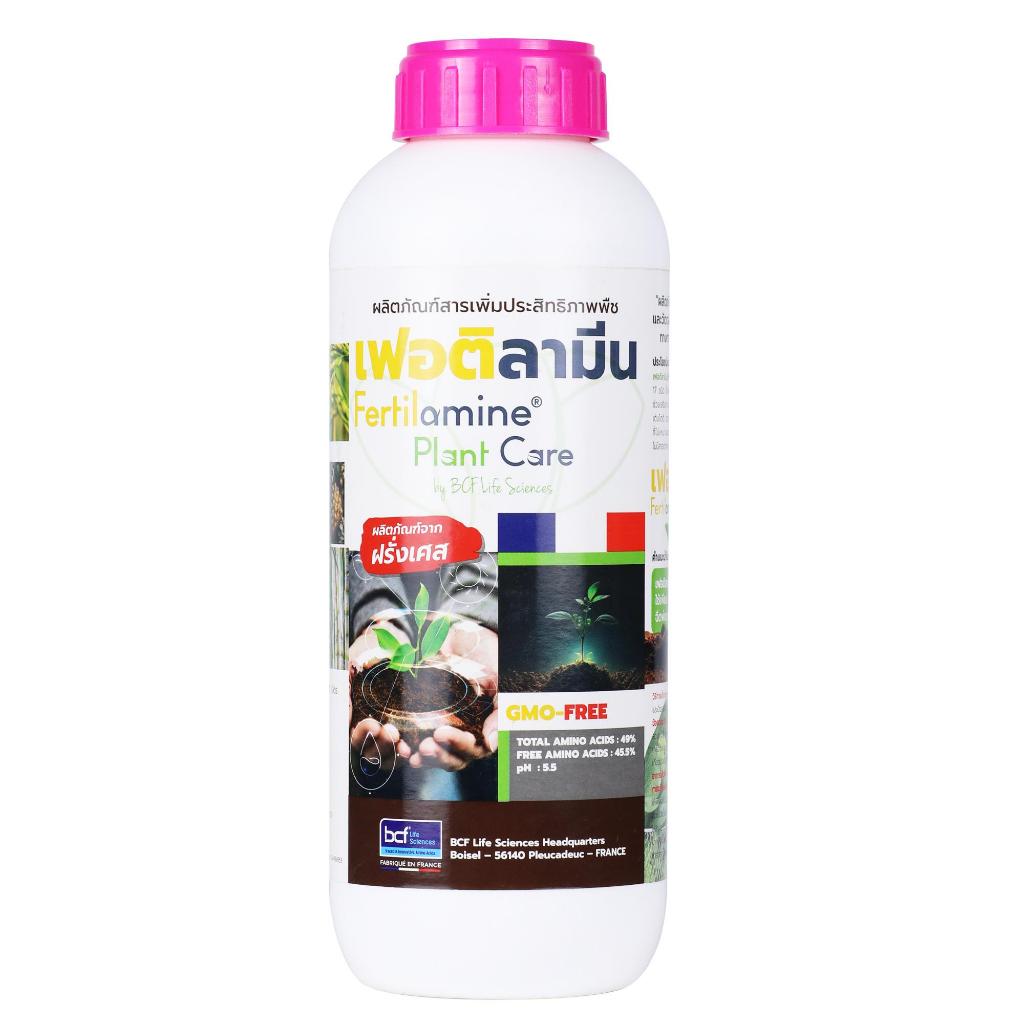 [ ยกลัง ] เฟอติลามีน กรดอะมิโน บำรุงต้นไม้ ขนาด 1 ลิตร