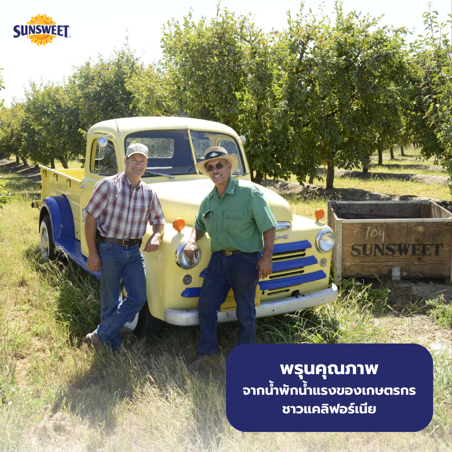 ลูกพรุนชนิดไม่มีเมล็ด ซันสวีท (Sunsweet)  ถุงซิปล็อค ขนาด200กรัม - รูปที่ 2