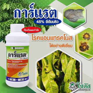 ✨ "การ์แรต" (โพรคลอราซ45%) ✨ สูตร EW ปลอดภัยต่อดอก ป้องกันกำจัดโรคแอนแทรคโนส โรคดอกเน่า โรคช่อดอกดำ โรคผลเน่า