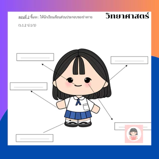 เตรียมสอบป .1 ปลายภาค1ครบ10วิชาหลัก