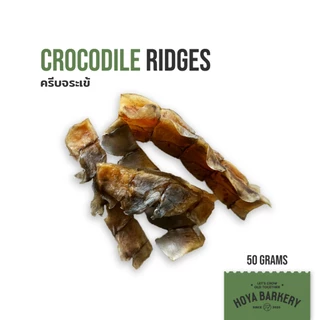 ชิ้นส่วนจระเข้ crocodile dog treats ขนมน้องหมา Hoya Barkery