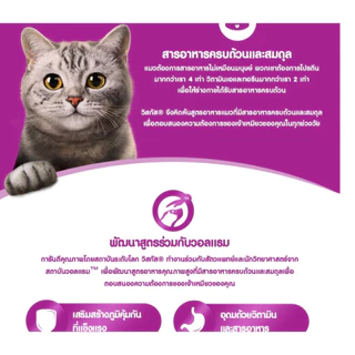 {FS} Whiskas วิสกัส เพาซ์ ยกโหล14ซอง อาหารเปียกแมว มีให้เลือกครบทุกรสชาติ