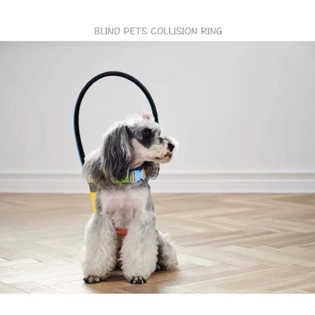 ห่วงกันชน สำหรับ สุนัขตาบอด (Blind Dog Halo) [พร้อมส่ง]